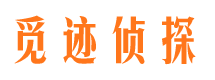 东西湖找人公司